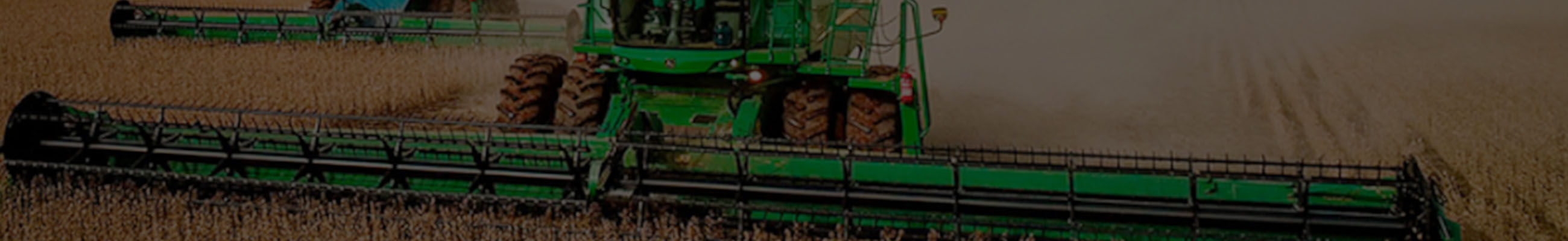 Background do leilão