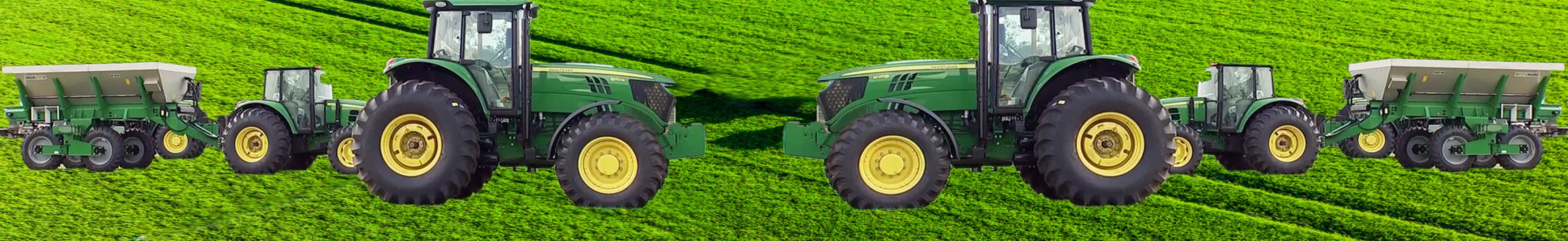 Background do leilão